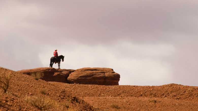 Man on a horse on a rock