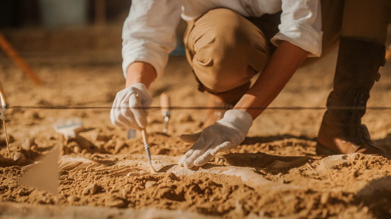 archeologist at a dig site