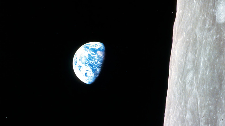 earthrise portrait