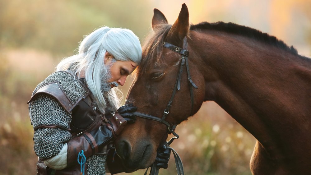 knight and horse