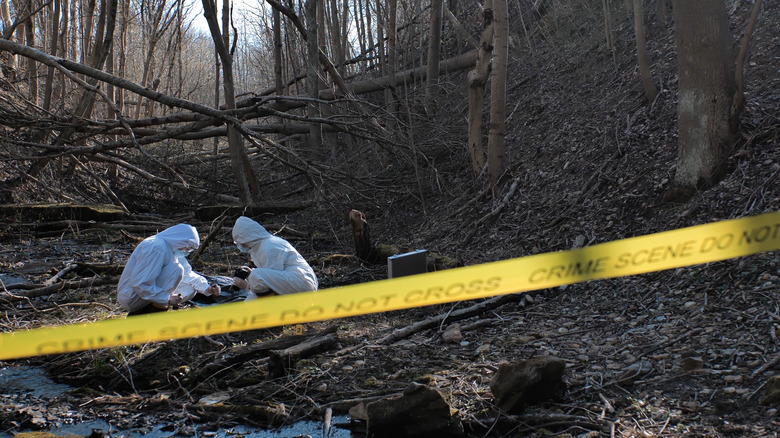Crime scene technicians collecting evidence