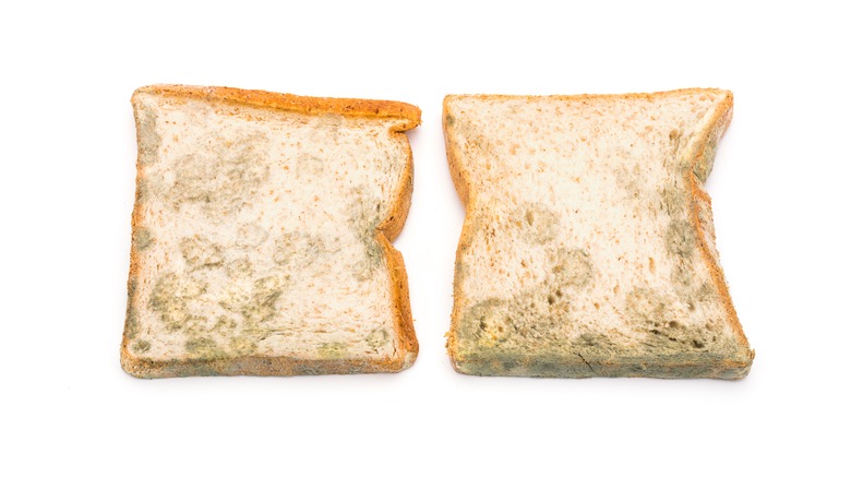 Bread with brown substance