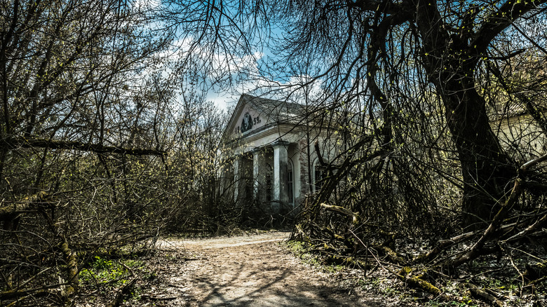 Empty trees in Pripyat