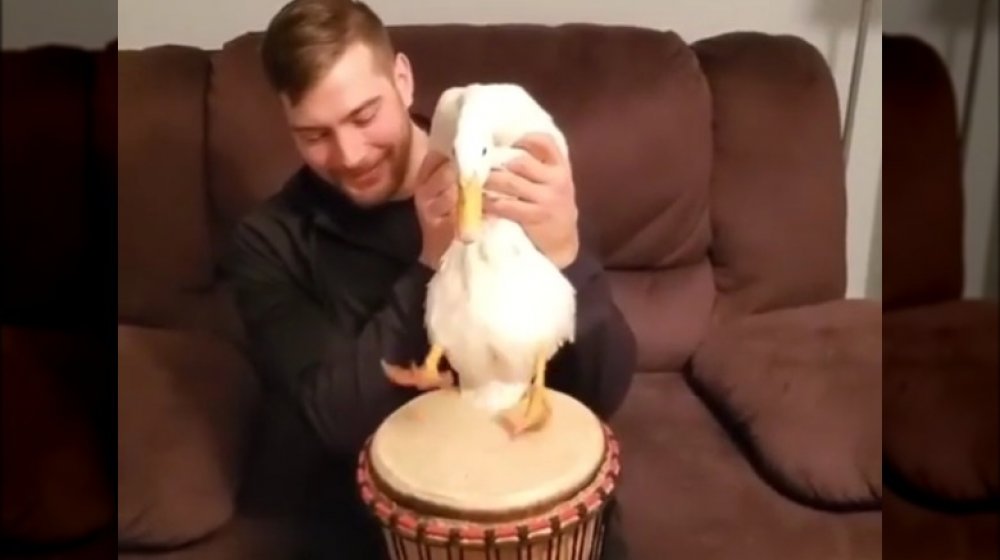 Ben Afquack