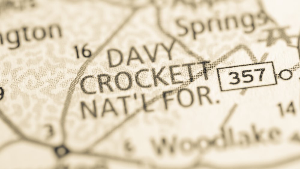 davy crockett national forest