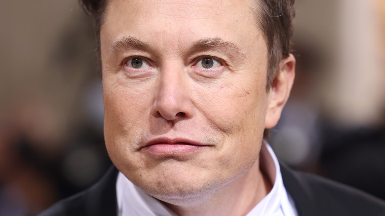 Elon Musk at the Met Gala