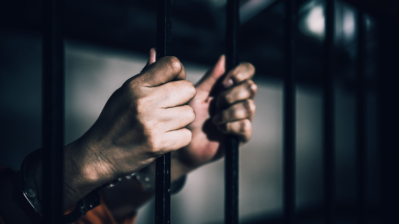 prison bars hands