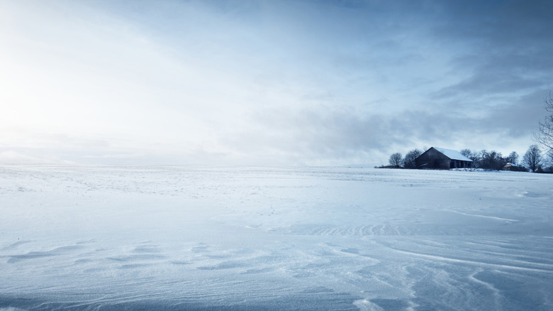 Home in rural Finland