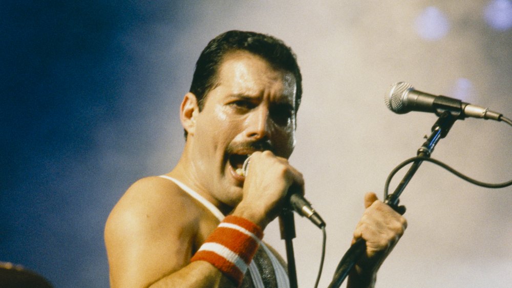 freddie mercury