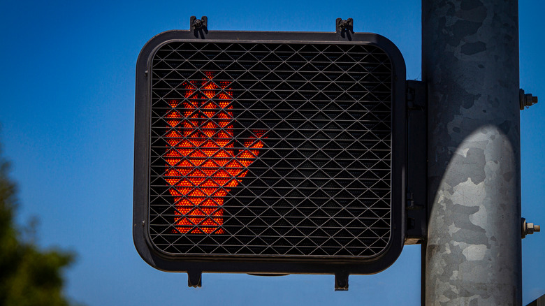 Electronic Don't Walk Sign 