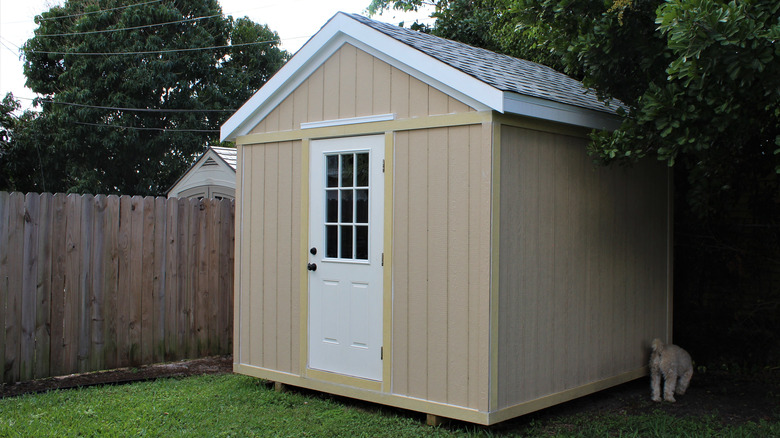 A backyard shed 