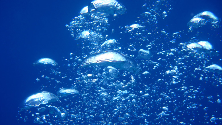 Air bubbles underwater