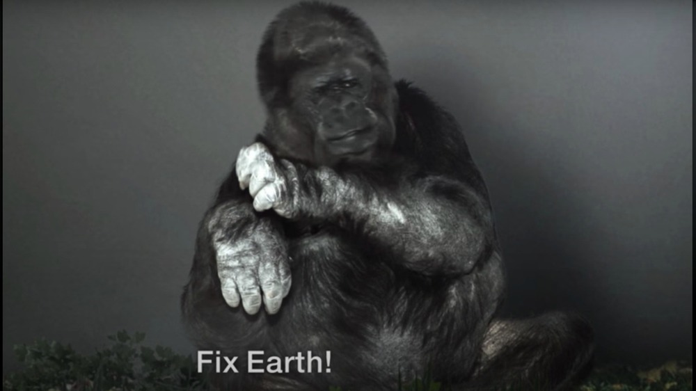 Koko