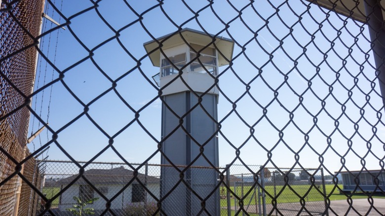 Angola prison in Louisianna