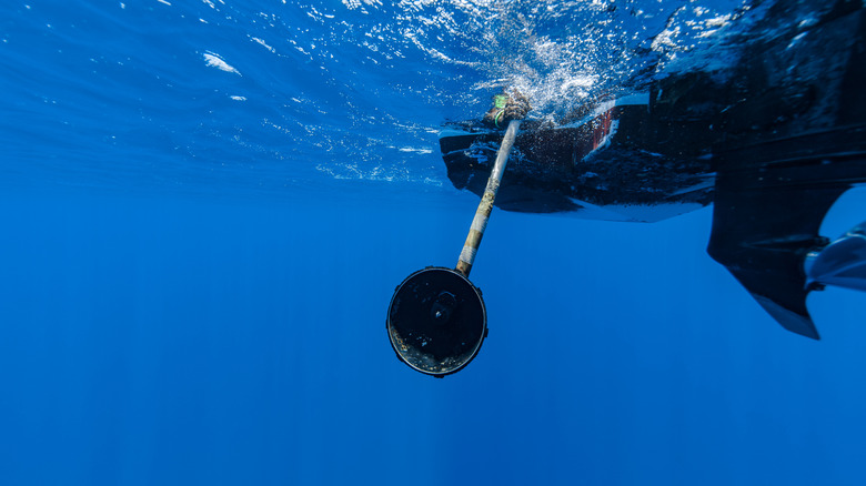 Closeup of hydrophone in water