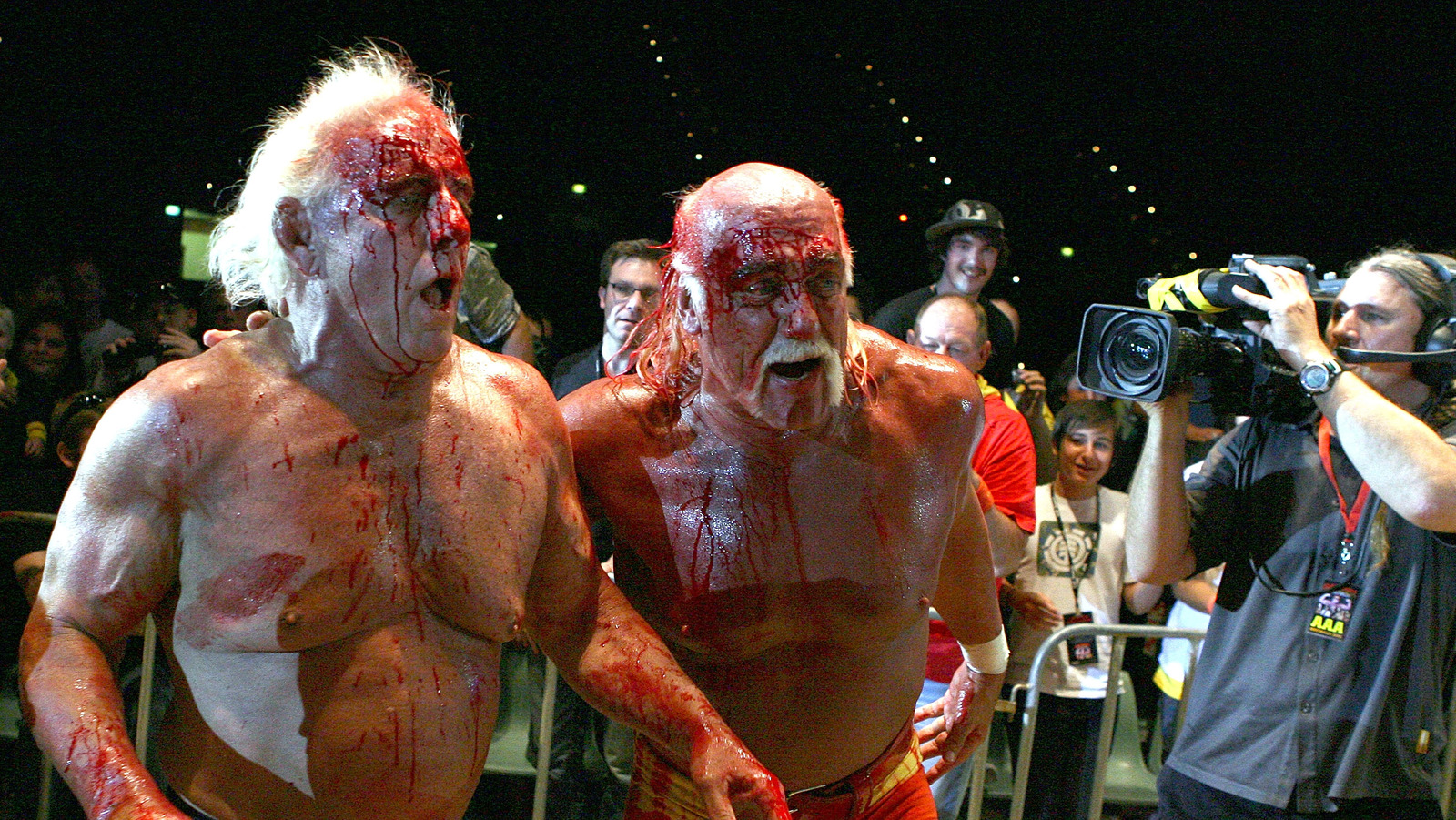 The Truth About Ric Flair And Hulk Hogan's Feud.
