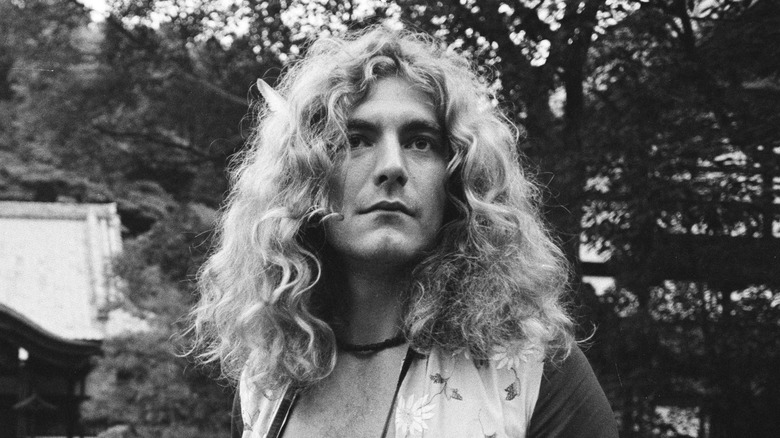 robert plant long curly hair