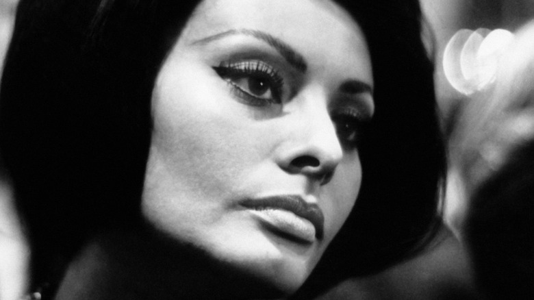 Sophia Loren, 1964