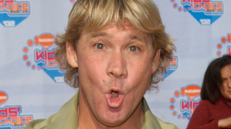 Steve Irwin