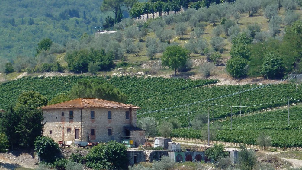 Tuscan countryside