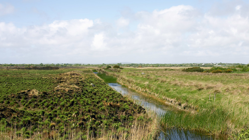Drainage ditch