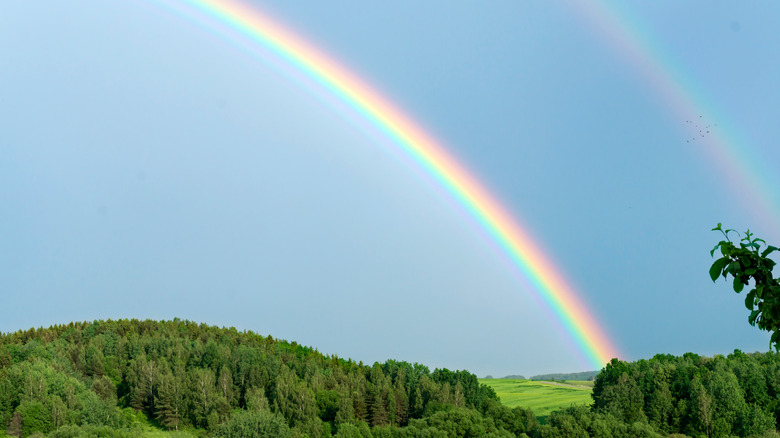 Rainbow landscape 