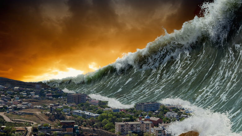 into the waves i go again into the waves i go again