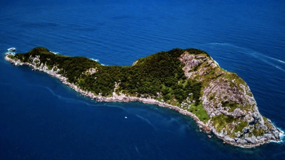 Snake Island