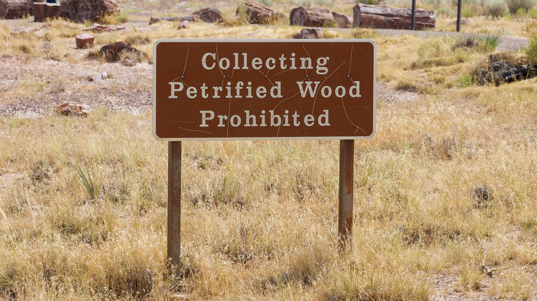 sign at the Petrified Forest National Park
