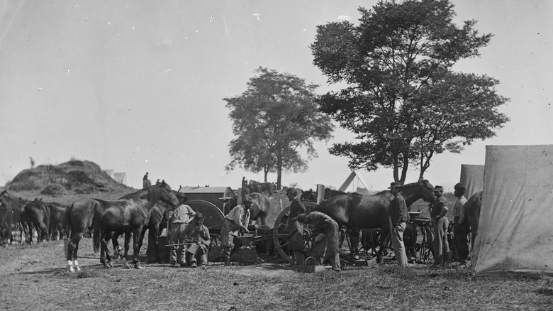 Blacksmith shoeing horses at headquarters, Army of the Potomac, Antietam, 1862