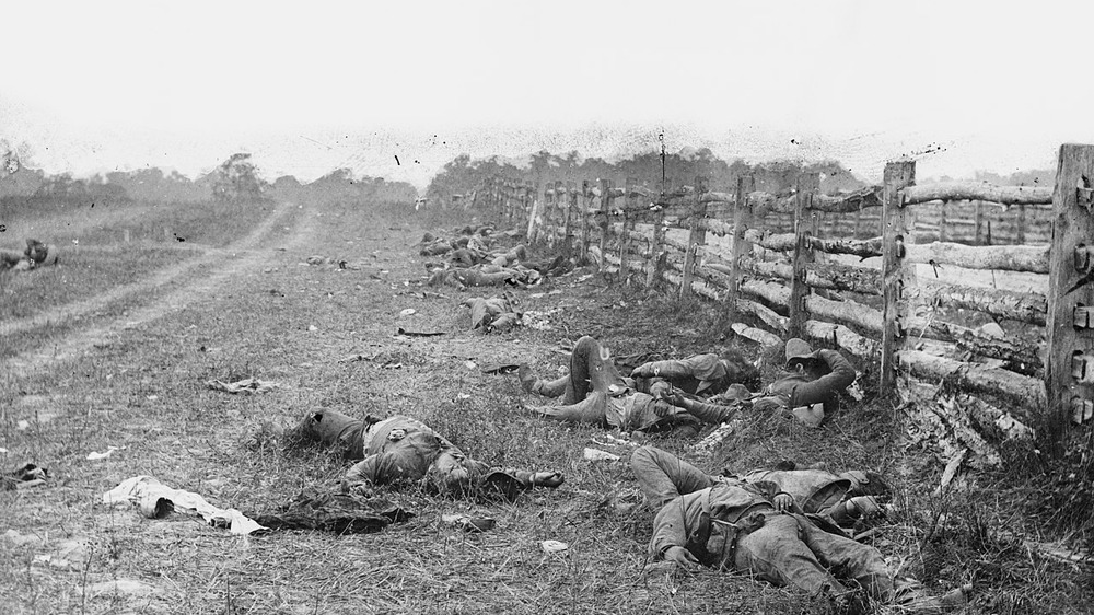 bodies at antietam