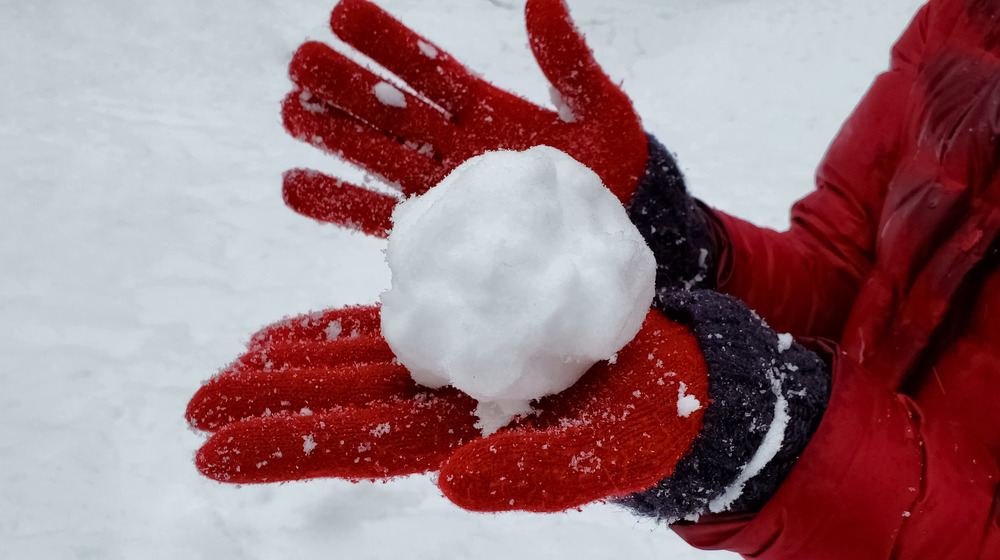 real or fake snowball