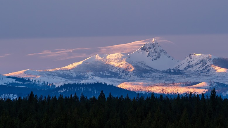 The state of Oregon