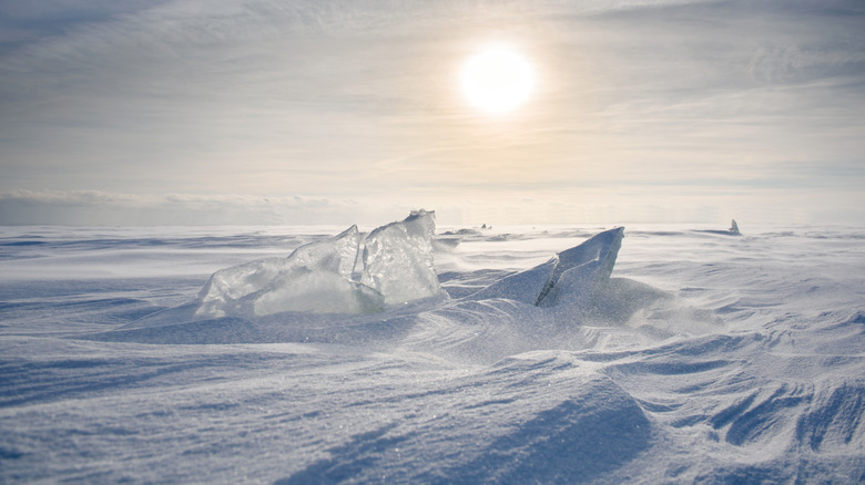 Sun over the Antarctic desert 