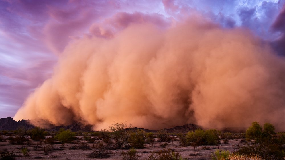 Sandstorm