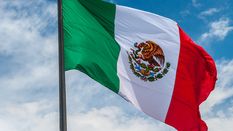 Mexico's flag