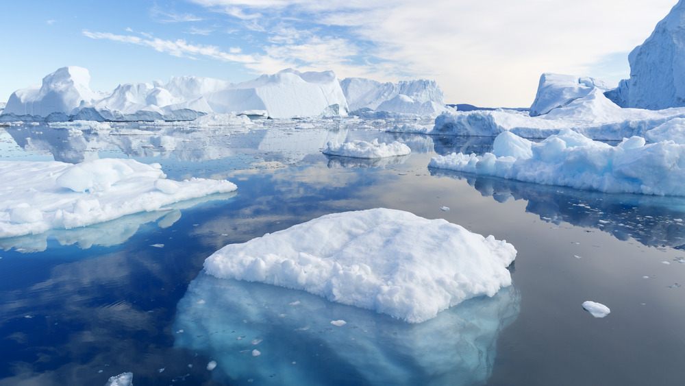 Ice berg seascape