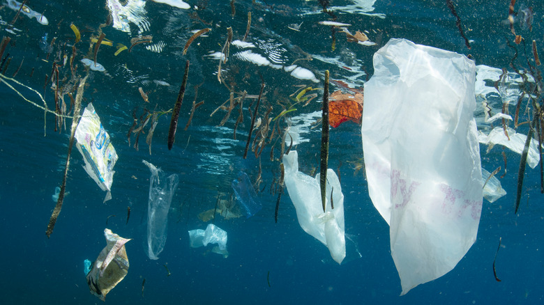 Plastic floating under water 