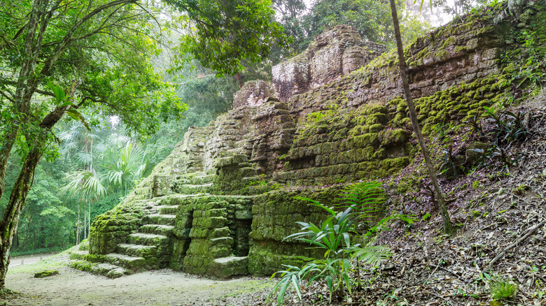 lost city in the Amazon