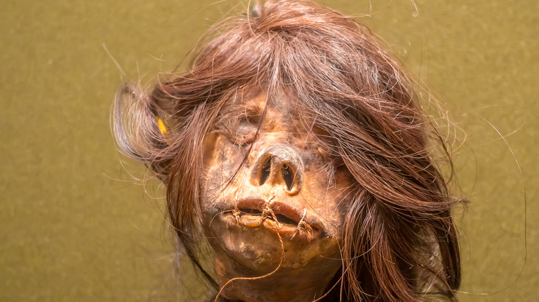 Female shrunken head from Ecuador