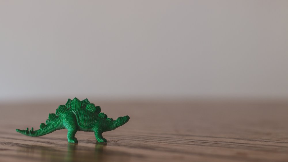 a very small dinosaur