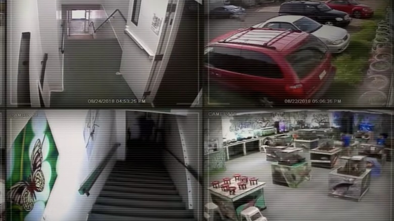 Security footage of the Philadelphia Insectarium