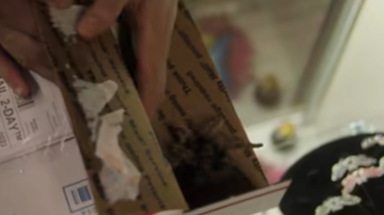 tarantula emerging from a packing box