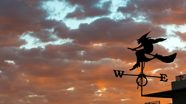 Witch wind vane