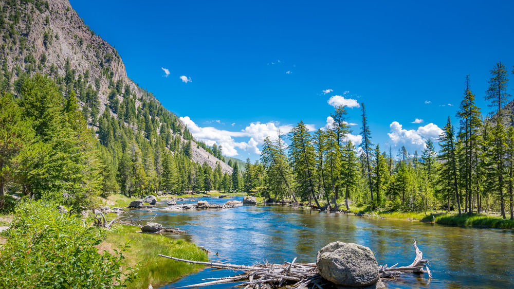 Yellowstone National Park