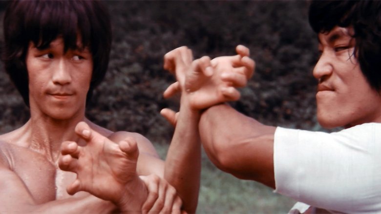 The Clones of Bruce Lee