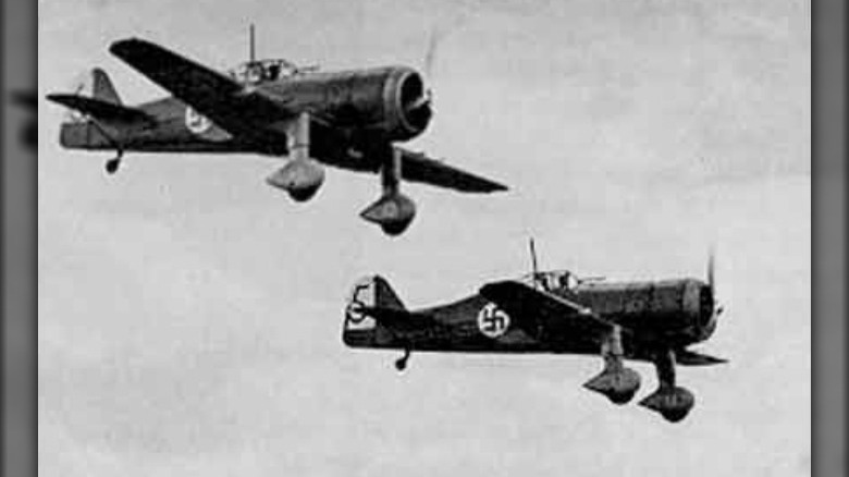 Fokker D.XXI Finnish Air Force