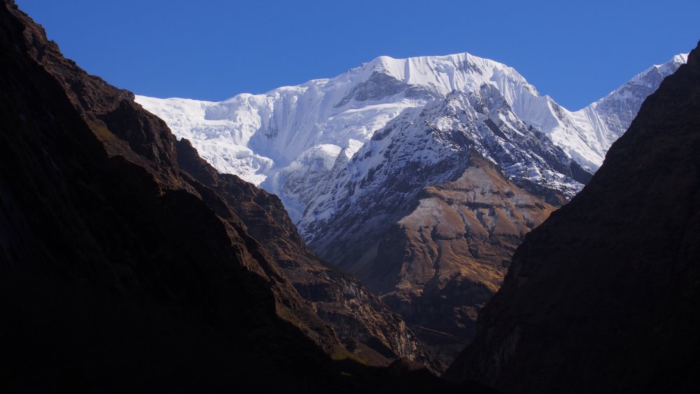 Annapurna base camp