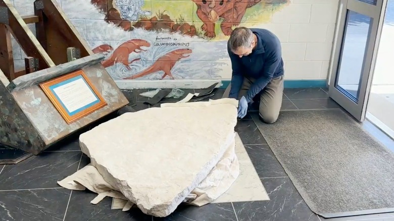 Dr. Anthony Romilio examining dinosaur fossil
