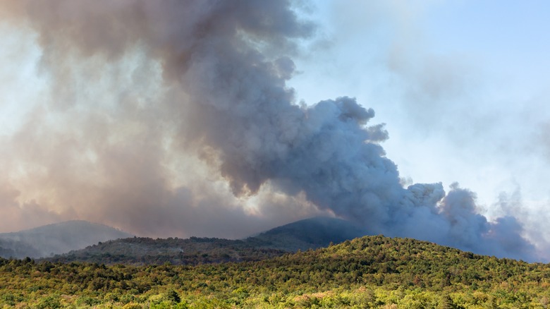 Fire in Slovenia 